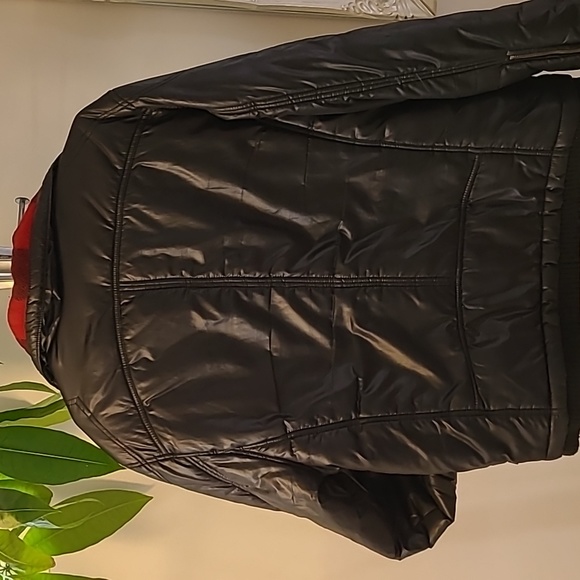 From buffalo david biton - Picture 5 of 5